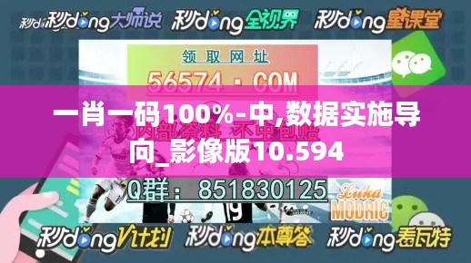 一肖一码100%-中,数据实施导向_影像版10.594