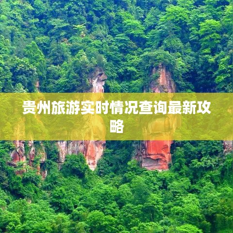 贵州旅游实时情况查询最新攻略