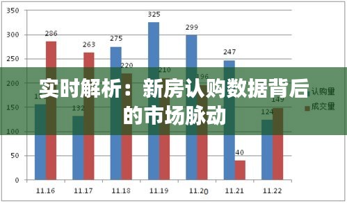 实时解析：新房认购数据背后的市场脉动