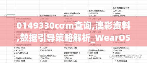 0149330cσm查询,澳彩资料,数据引导策略解析_WearOS10.515