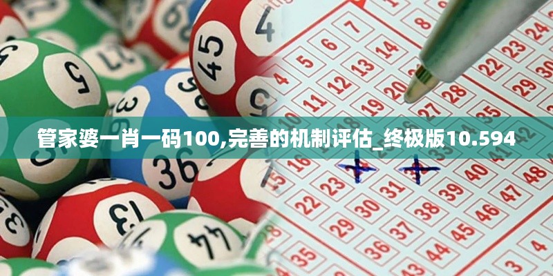 管家婆一肖一码100,完善的机制评估_终极版10.594