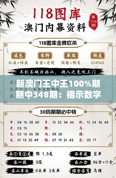 新澳门王中王100%期期中348期：揭示数字背后的策略与技巧