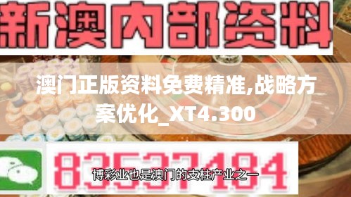 澳门正版资料免费精准,战略方案优化_XT4.300