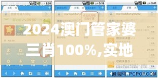 2024澳门管家婆三肖100%,实地数据验证执行_GM版2.860