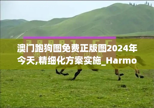 澳门跑狗图免费正版图2024年今天,精细化方案实施_HarmonyOS10.855