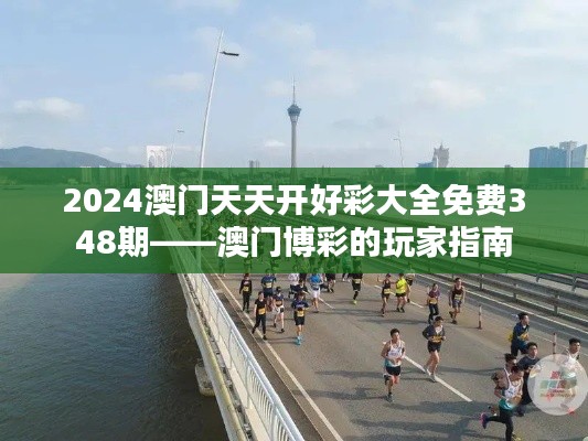 2024澳门天天开好彩大全免费348期——澳门博彩的玩家指南