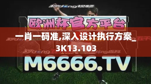 一肖一码准,深入设计执行方案_3K13.103