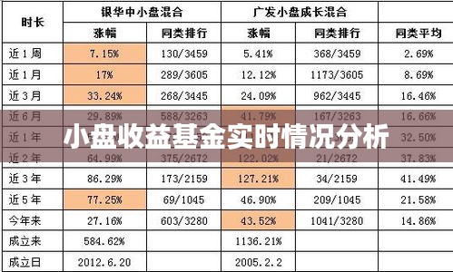 小盘收益基金实时情况分析