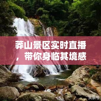 莽山景区实时直播，带你身临其境感受大自然的壮美