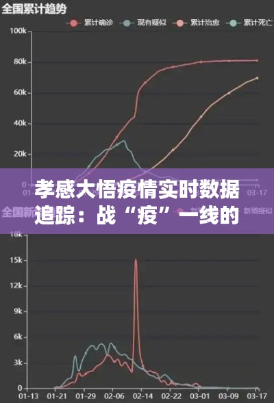 孝感大悟疫情实时数据追踪：战“疫”一线的坚实后盾