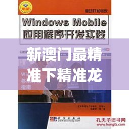 新澳门最精准下精准龙门,效率资料解释落实_专家版5.462