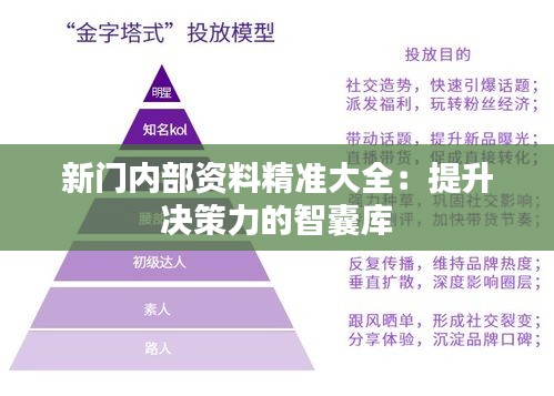 新门内部资料精准大全：提升决策力的智囊库