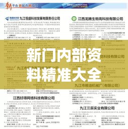 新门内部资料精准大全：精准资料，助你实现事业飞跃