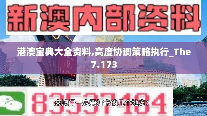 港澳宝典大全资料,高度协调策略执行_The7.173