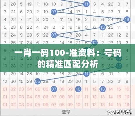 一肖一码100-准资料：号码的精准匹配分析