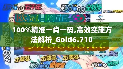 100%精准一肖一码,高效实施方法解析_Gold6.710