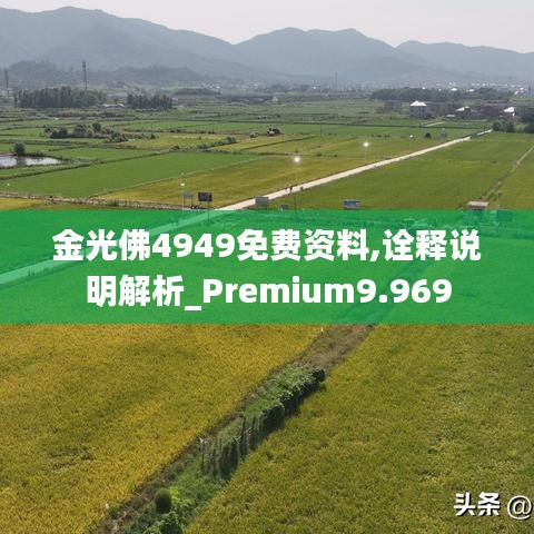 金光佛4949免费资料,诠释说明解析_Premium9.969