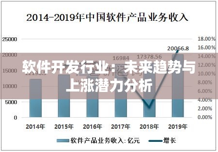 软件开发行业：未来趋势与上涨潜力分析