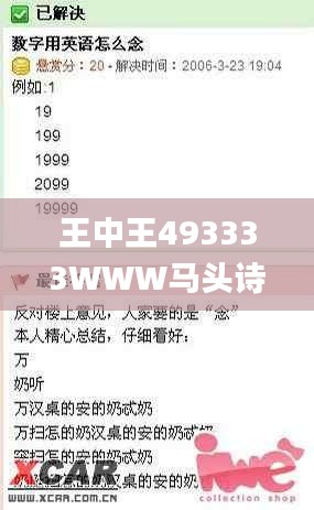 王中王493333WWW马头诗,涵盖了广泛的解释落实方法_HT10.151