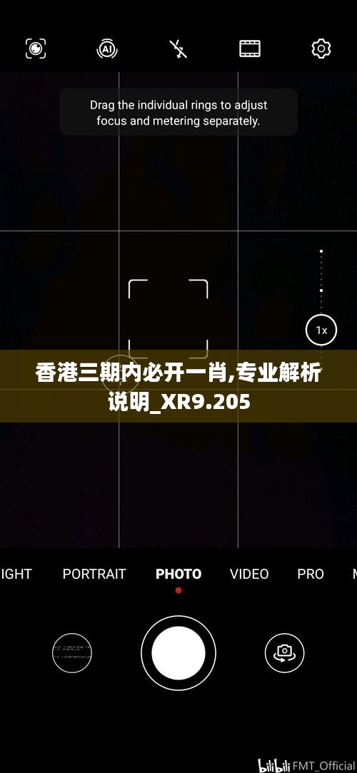 香港三期内必开一肖,专业解析说明_XR9.205