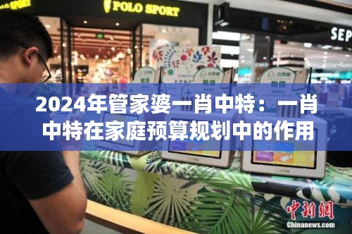 2024年管家婆一肖中特：一肖中特在家庭预算规划中的作用