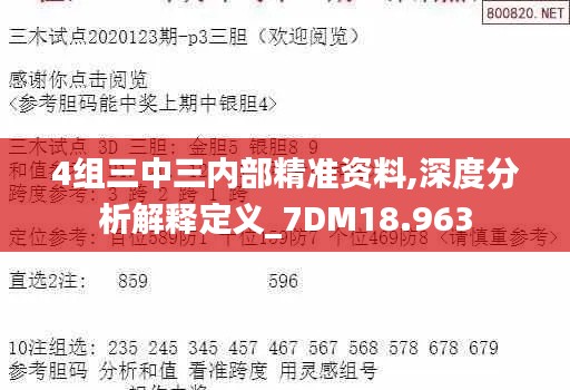 4组三中三内部精准资料,深度分析解释定义_7DM18.963