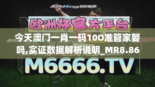 今天澳门一肖一码10O准管家娶吗,实证数据解析说明_MR8.864