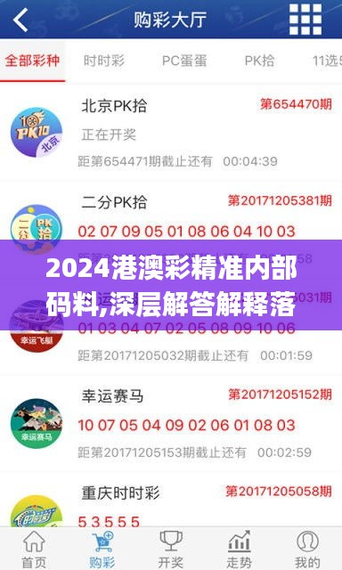 2024港澳彩精准内部码料,深层解答解释落实_微型版2.484