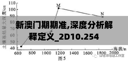 新澳门期期准,深度分析解释定义_2D10.254