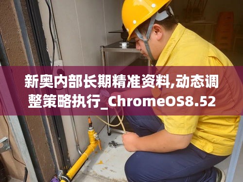 新奥内部长期精准资料,动态调整策略执行_ChromeOS8.521