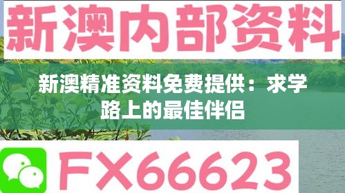 新澳精准资料免费提供：求学路上的最佳伴侣