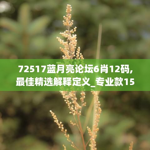 72517蓝月亮论坛6肖12码,最佳精选解释定义_专业款15.951