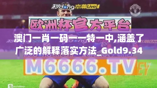 澳门一肖一码一一特一中,涵盖了广泛的解释落实方法_Gold9.346