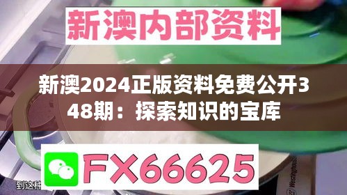 新澳2024正版资料免费公开348期：探索知识的宝库