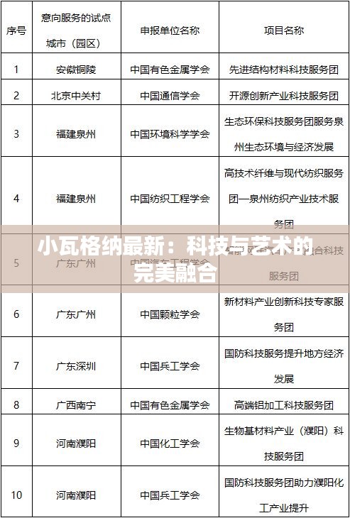 小瓦格纳最新：科技与艺术的完美融合