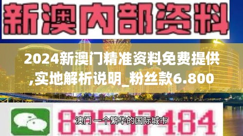 2024新澳门精准资料免费提供,实地解析说明_粉丝款6.800