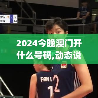 2024今晚澳门开什么号码,动态说明解析_10DM16.949