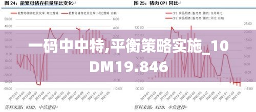 一码中中特,平衡策略实施_10DM19.846