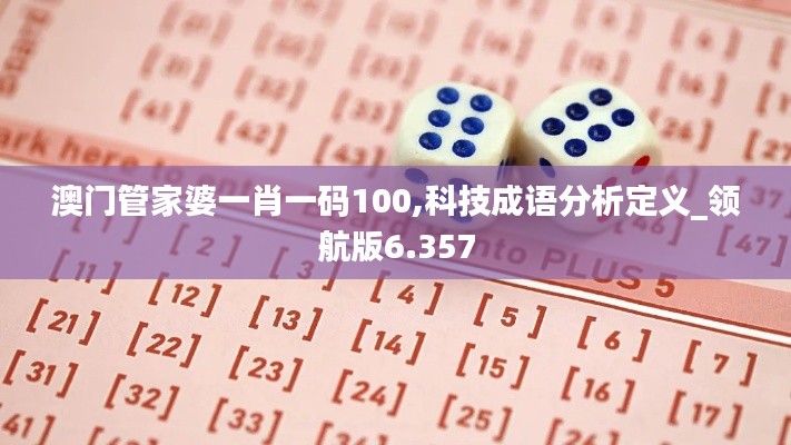 澳门管家婆一肖一码100,科技成语分析定义_领航版6.357