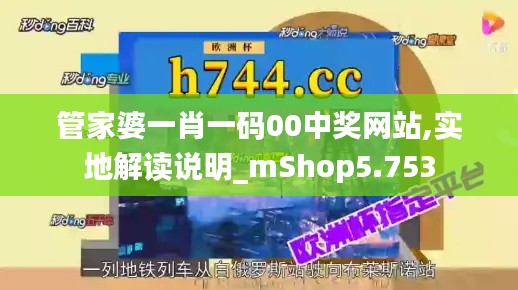 管家婆一肖一码00中奖网站,实地解读说明_mShop5.753