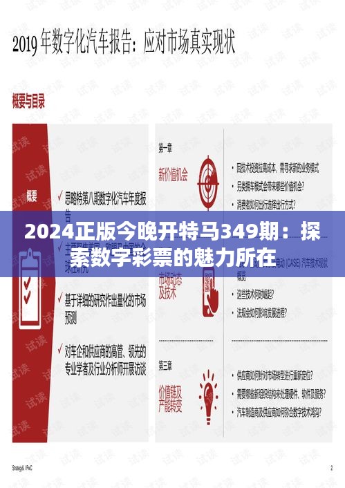 2024正版今晚开特马349期：探索数字彩票的魅力所在