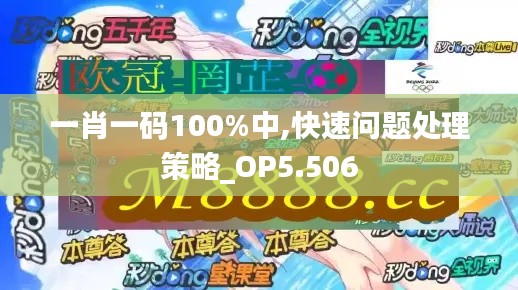 一肖一码100%中,快速问题处理策略_OP5.506