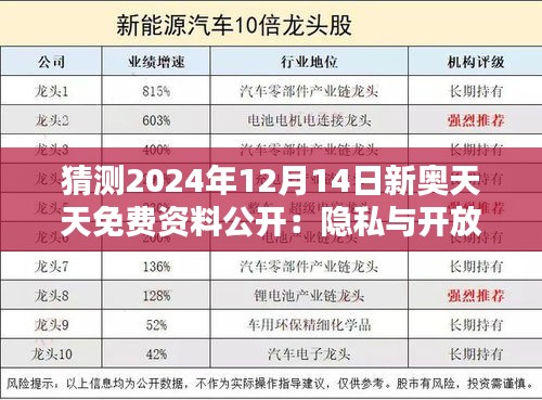 猜测2024年12月14日新奥天天免费资料公开：隐私与开放数据的平衡