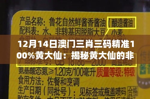 12月14日澳门三肖三码精准100%黄大仙：揭秘黄大仙的非凡技巧