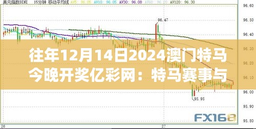 往年12月14日2024澳门特马今晚开奖亿彩网：特马赛事与澳门旅游业的互动