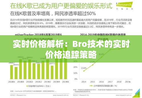 实时价格解析：Bro技术的实时价格追踪策略