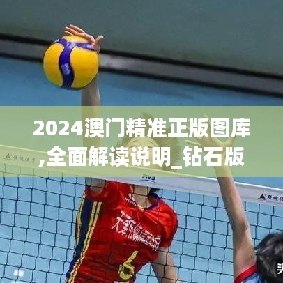 2024澳门精准正版图库,全面解读说明_钻石版6.296