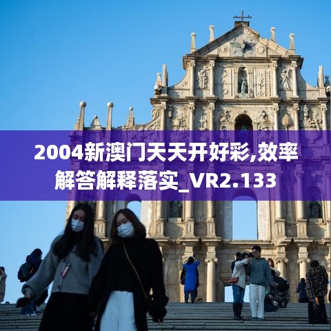 2004新澳门天天开好彩,效率解答解释落实_VR2.133