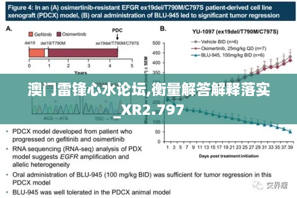 澳门雷锋心水论坛,衡量解答解释落实_XR2.797