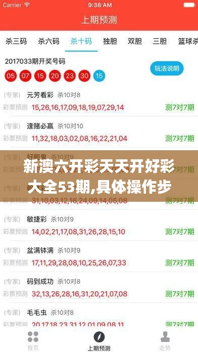 新澳六开彩天天开好彩大全53期,具体操作步骤指导_挑战款4.975